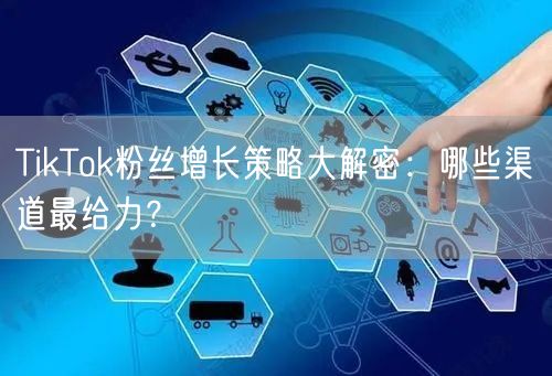 TikTok粉丝增长策略大解密：哪些渠道最给力？