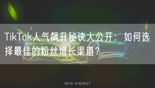 TikTok人气飙升秘诀大公开：如何选择最佳的粉丝增长渠道？