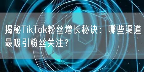揭秘TikTok粉丝增长秘诀：哪些渠道最吸引粉丝关注？