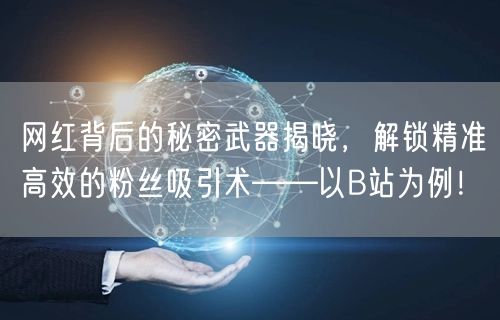 网红背后的秘密武器揭晓，解锁精准高效的粉丝吸引术——以B站为例！