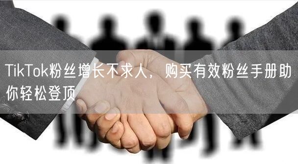 TikTok粉丝增长不求人，购买有效粉丝手册助你轻松登顶