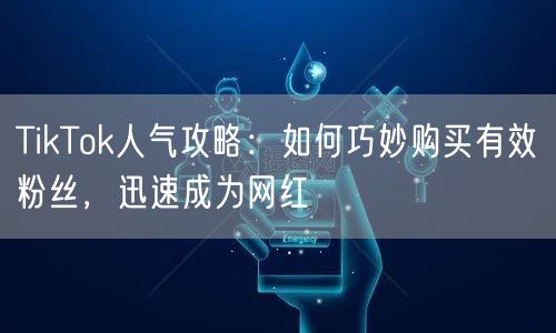 TikTok人气攻略：如何巧妙购买有效粉丝，迅速成为网红