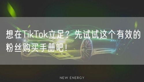 想在TikTok立足？先试试这个有效的粉丝购买手册吧！