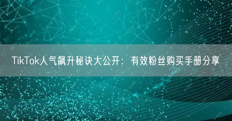 TikTok人气飙升秘诀大公开：有效粉丝购买手册分享
