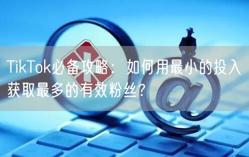 TikTok必备攻略：如何用最小的投入获取最多的有效粉丝？