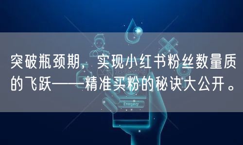 突破瓶颈期，实现小红书粉丝数量质的飞跃——精准买粉的秘诀大公开。