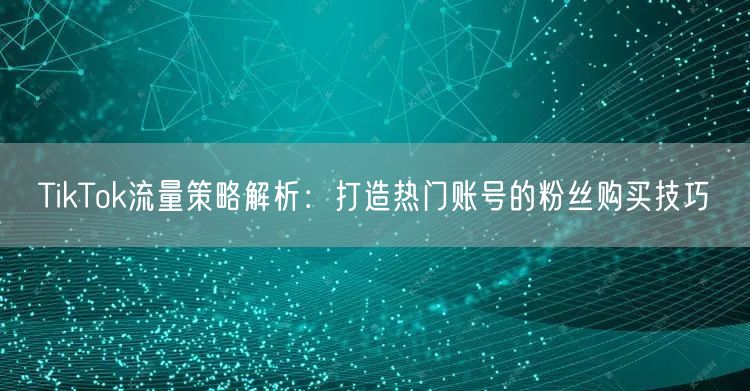 TikTok流量策略解析：打造热门账号的粉丝购买技巧