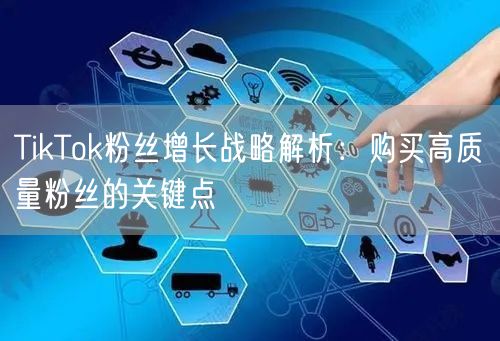 TikTok粉丝增长战略解析：购买高质量粉丝的关键点
