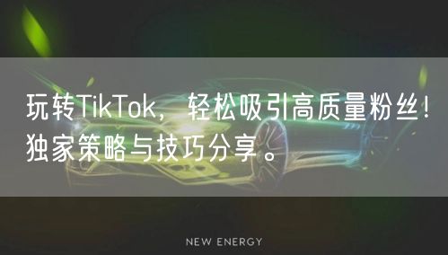 玩转TikTok，轻松吸引高质量粉丝！独家策略与技巧分享。