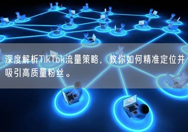 深度解析TikTok流量策略，教你如何精准定位并吸引高质量粉丝。