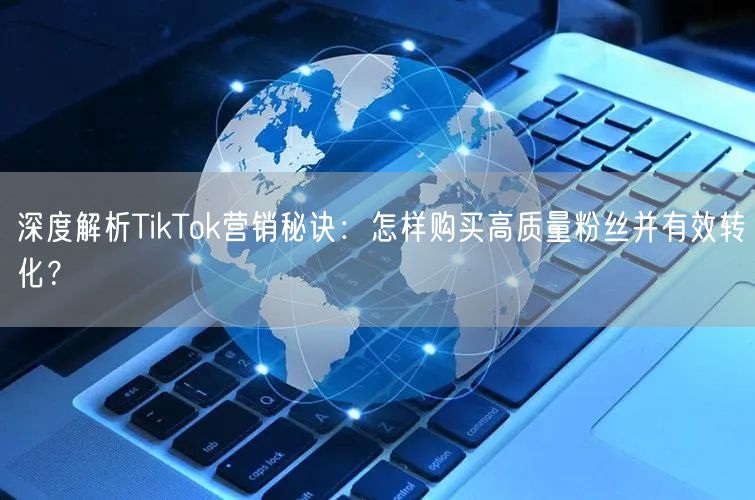 深度解析TikTok营销秘诀：怎样购买高质量粉丝并有效转化？