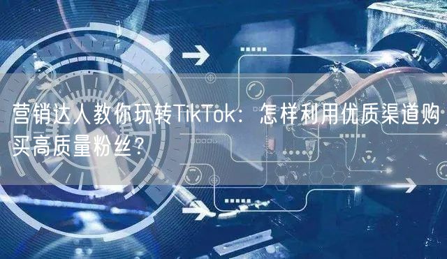 营销达人教你玩转TikTok：怎样利用优质渠道购买高质量粉丝？