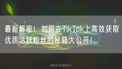 最新解密！如何在TikTok上高效获取优质活跃粉丝的秘籍大公开！