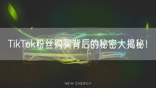 TikTok粉丝购买背后的秘密大揭秘！