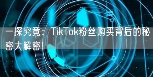 一探究竟：TikTok粉丝购买背后的秘密大解密！