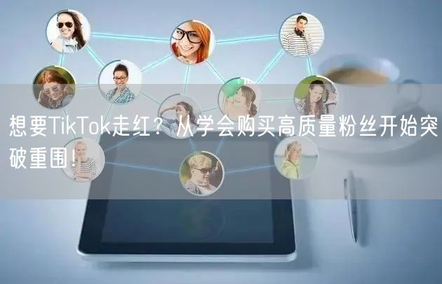 想要TikTok走红？从学会购买高质量粉丝开始突破重围！