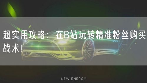 超实用攻略：在B站玩转精准粉丝购买战术！