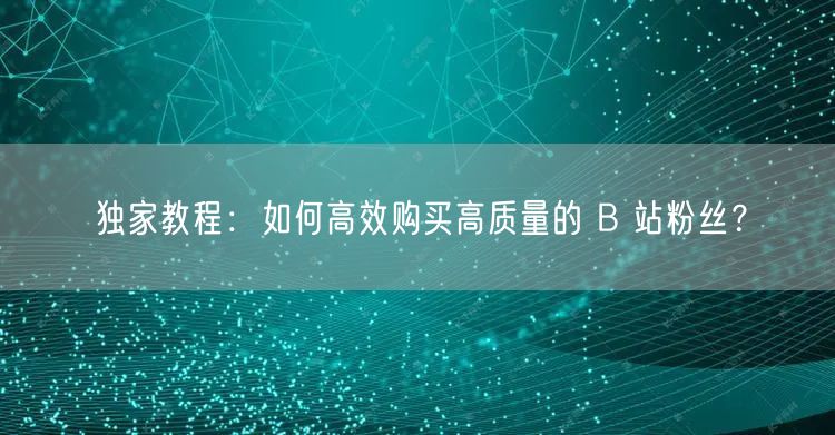 独家教程：如何高效购买高质量的 B 站粉丝？