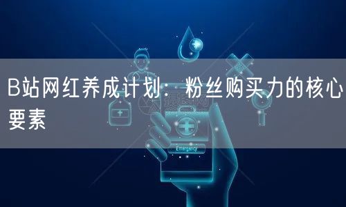 B站网红养成计划：粉丝购买力的核心要素