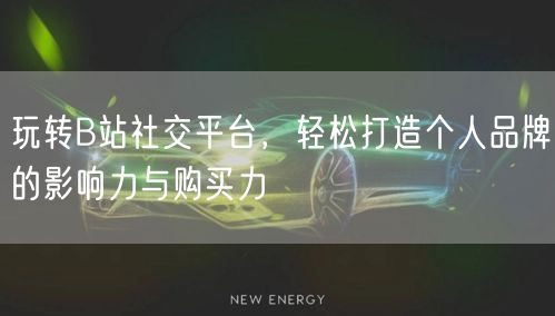 玩转B站社交平台，轻松打造个人品牌的影响力与购买力