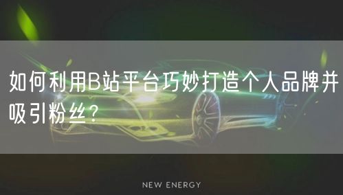 如何利用B站平台巧妙打造个人品牌并吸引粉丝？