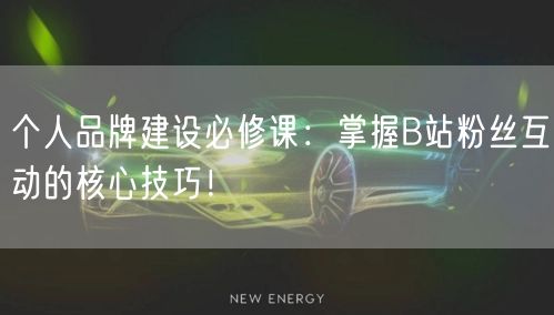 个人品牌建设必修课：掌握B站粉丝互动的核心技巧！