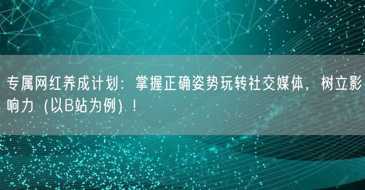 专属网红养成计划：掌握正确姿势玩转社交媒体，树立影响力（以B站为例）!