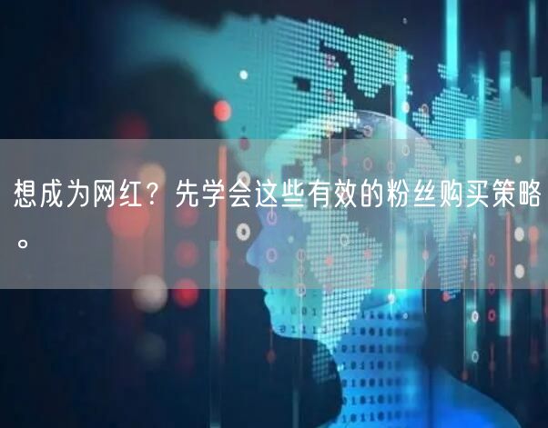 想成为网红？先学会这些有效的粉丝购买策略。