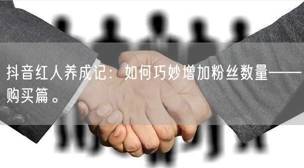 抖音红人养成记：如何巧妙增加粉丝数量——购买篇。