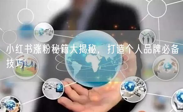 小红书涨粉秘籍大揭秘，打造个人品牌必备技巧!