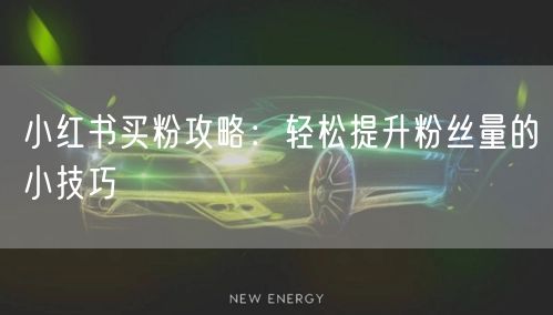 小红书买粉攻略：轻松提升粉丝量的小技巧