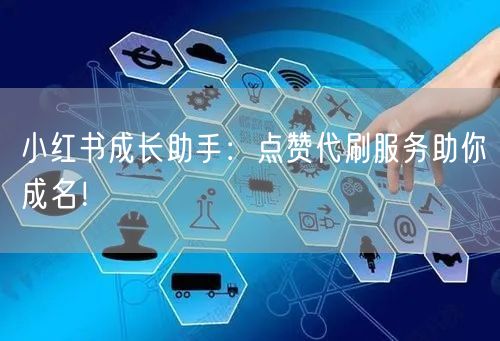 小红书成长助手：点赞代刷服务助你成名！