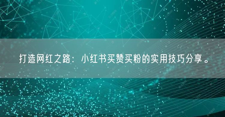 打造网红之路：小红书买赞买粉的实用技巧分享。