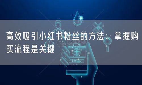 高效吸引小红书粉丝的方法：掌握购买流程是关键