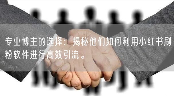 专业博主的选择：揭秘他们如何利用小红书刷粉软件进行高效引流。
