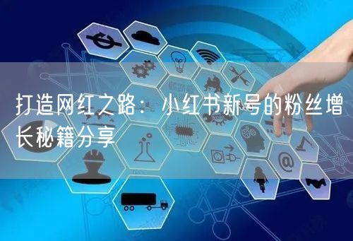 打造网红之路：小红书新号的粉丝增长秘籍分享