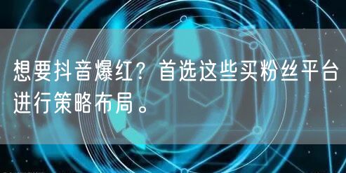 想要抖音爆红？首选这些买粉丝平台进行策略布局。