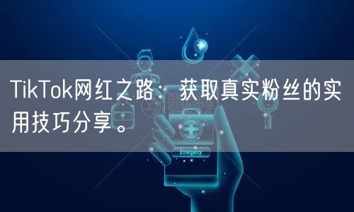 TikTok网红之路：获取真实粉丝的实用技巧分享。
